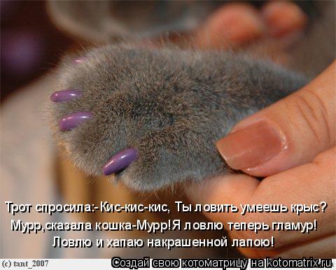 Трот спросила:-Кис-кис-кис, Ты ловить умеешь крыс? Мурр,сказала кошка-Мурр!Я ловлю теперь гламур! Ло... Котоматрица: Трот спросила:-Кис-кис-кис, Ты ловить умеешь крыс? Мурр,сказала кошка-Мурр!Я ловлю теперь гламур! Ловлю и хапаю накрашенной лапою!