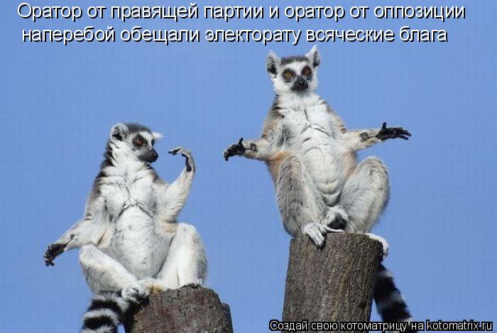 Оратор от правящей партии и оратор от оппозиции наперебой обещали электорату всяческие блага... Котоматрица: Оратор от правящей партии и оратор от оппозиции наперебой обещали электорату всяческие блага
