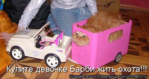 Купите девочке Барби,жить охота!!!... Котоматрица: Купите девочке Барби,жить охота!!!