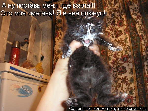 А ну поставь меня, где взяла!!! Это моя сметана! Я в неё плюнул!... Котоматрица: А ну поставь меня, где взяла!!! Это моя сметана! Я в неё плюнул!