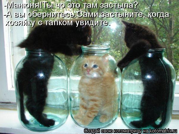 -Манюня!Ты чо это там застыла? -А вы обернитесь.Сами застыните, когда хозяйку с тапком увидите.... Котоматрица: -Манюня!Ты чо это там застыла? -А вы обернитесь.Сами застыните, когда хозяйку с тапком увидите.