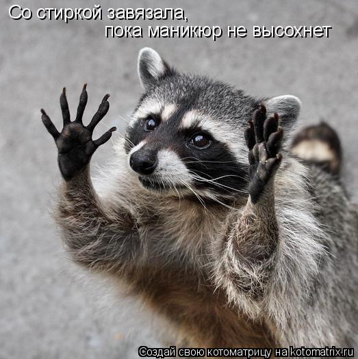 Со стиркой завязала, пока маникюр не высохнет Со стиркой завязала, пока маникюр не высохнет... Котоматрица: Со стиркой завязала, пока маникюр не высохнет Со стиркой завязала, пока маникюр не высохнет