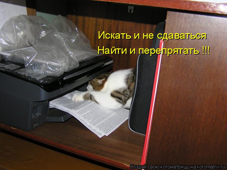 Искать и не сдаваться Найти и перепрятать !!!... Котоматрица: Искать и не сдаваться Найти и перепрятать !!!