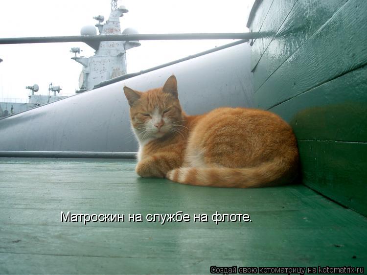 Матроскин на службе на флоте.... Котоматрица: Матроскин на службе на флоте.