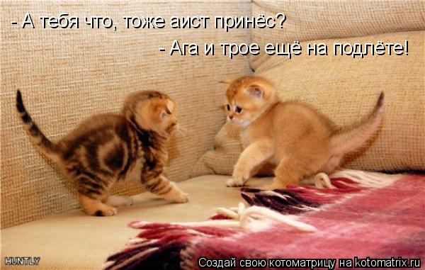 - А тебя что, тоже аист принёс? - Ага и трое ещё на подлёте!... Котоматрица: - А тебя что, тоже аист принёс? - Ага и трое ещё на подлёте!