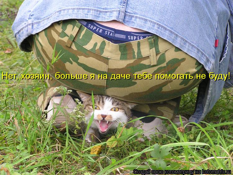 Нет, хозяин, больше я на даче тебе помогать не буду!... Котоматрица: Нет, хозяин, больше я на даче тебе помогать не буду!