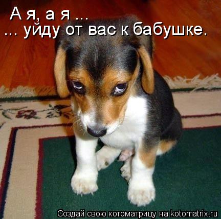 А я, а я ... ... уйду от вас к бабушке.... Котоматрица: А я, а я ... ... уйду от вас к бабушке.