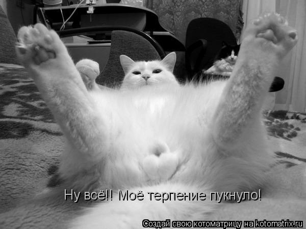 Ну всё!! Моё терпение пукнуло!... Котоматрица: Ну всё!! Моё терпение пукнуло!