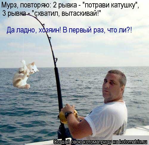 Котоматрица: Мурз, повторяю: 2 рывка - "потрави катушку",  3 рывка - "схватил, вытаскивай!"  Да ладно, хозяин! В первый раз, что ли?!