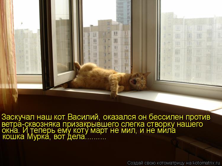 Котоматрица: Заскучал наш кот Василий, оказался он бессилен против ветра-сквозняка призакрывшего слегка створку нашего окна. И теперь ему коту март не м