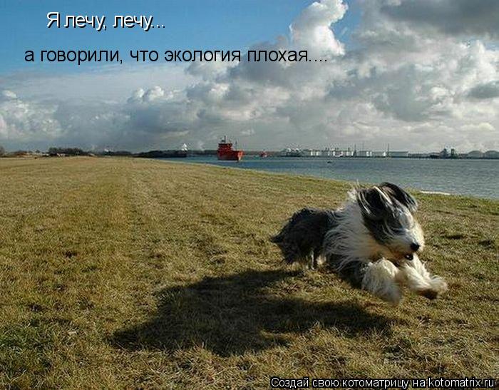 Я лечу, лечу... а говорили, что экология плохая....... Котоматрица: Я лечу, лечу... а говорили, что экология плохая....