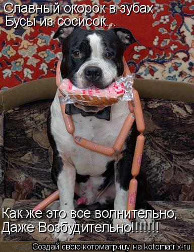 Котоматрица: Славный окорок в зубах Бусы из сосисок... Как же это все волнительно,  Даже Возбудительно!!!!!!!