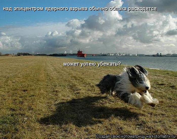 Котоматрица: над эпицентром ядерного взрыва обычно облака расходятся может успею убежать?