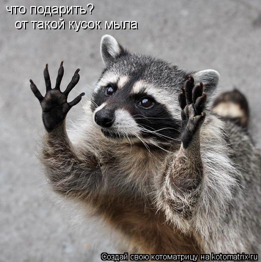 Котоматрица: что подарить? от такой кусок мыла