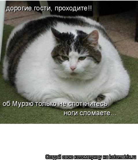 дорогие гости, проходите!! об Мурзю только не споткнитесь ноги сломаете...... Котоматрица: дорогие гости, проходите!! об Мурзю только не споткнитесь ноги сломаете...