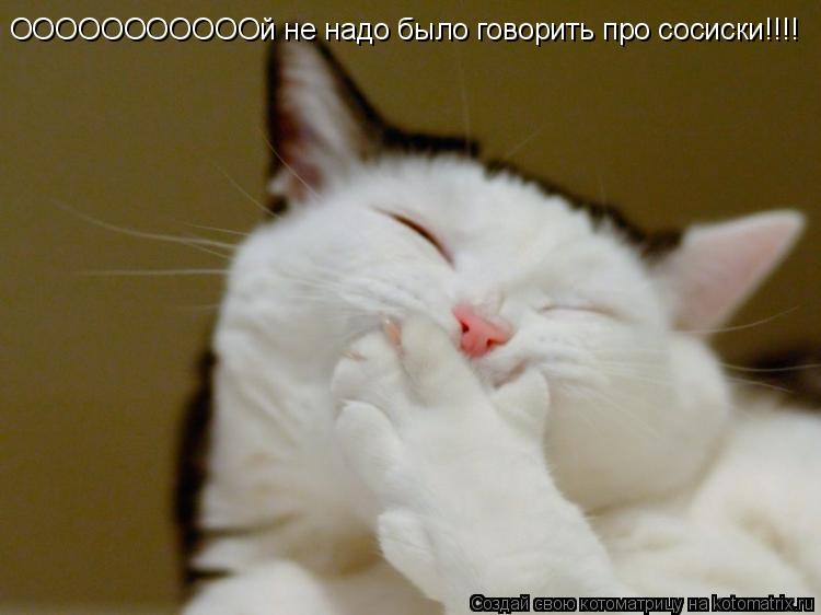 ОООООООООООй не надо было говорить про сосиски!!!!... Котоматрица: ОООООООООООй не надо было говорить про сосиски!!!!