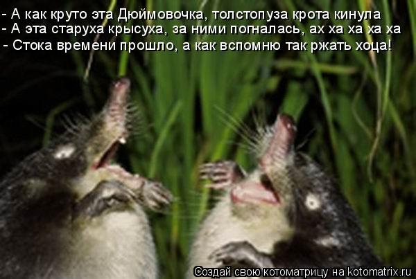 - А как круто эта Дюймовочка, толстопуза крота кинула - А эта старуха крысуха, за ними погналась, ах ... Котоматрица: - А как круто эта Дюймовочка, толстопуза крота кинула - А эта старуха крысуха, за ними погналась, ах ха ха ха ха - Стока времени прошло, а как вс