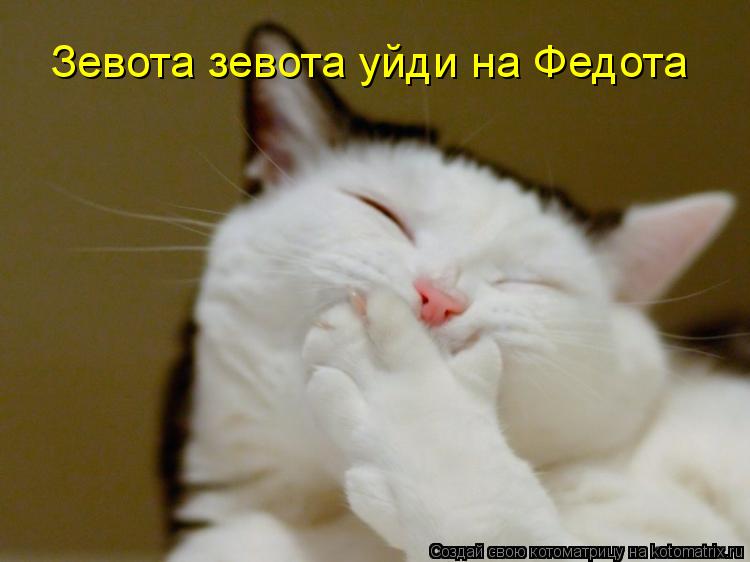 Зевота зевота уйди на Федота... Котоматрица: Зевота зевота уйди на Федота