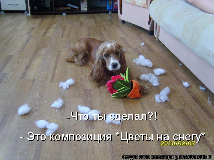 Что ты сделал?! - Это композиция *Цветы на снегу* -... Котоматрица: Что ты сделал?! - Это композиция *Цветы на снегу* -