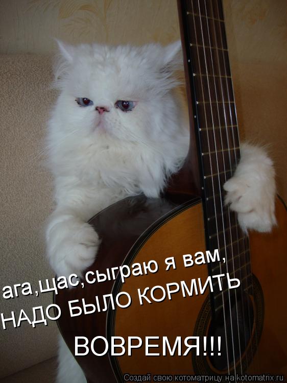 ага,щас,сыграю я вам, НАДО БЫЛО КОРМИТЬ ВОВРЕМЯ!!!... Котоматрица: ага,щас,сыграю я вам, НАДО БЫЛО КОРМИТЬ ВОВРЕМЯ!!!