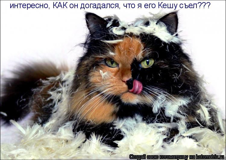 интересно, КАК он догадался, что я его Кешу съел???... Котоматрица: интересно, КАК он догадался, что я его Кешу съел???
