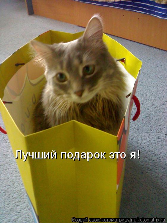 Лучший подарок это я!... Котоматрица: Лучший подарок это я!