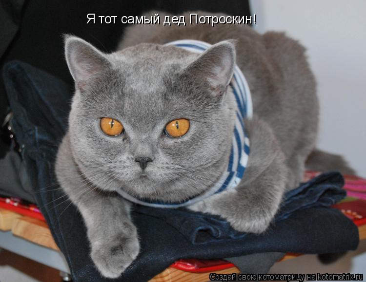 Я тот самый дед Потроскин!... Котоматрица: Я тот самый дед Потроскин!
