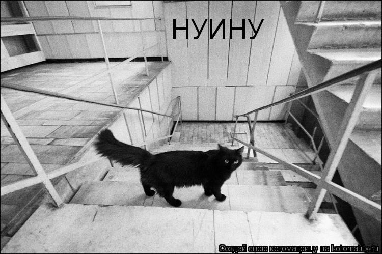 НУИНУ... Котоматрица: НУИНУ