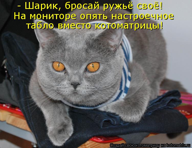 - Шарик, бросай ружьё своё! На мониторе опять настроечное табло вместо котоматрицы!... Котоматрица: - Шарик, бросай ружьё своё! На мониторе опять настроечное табло вместо котоматрицы!