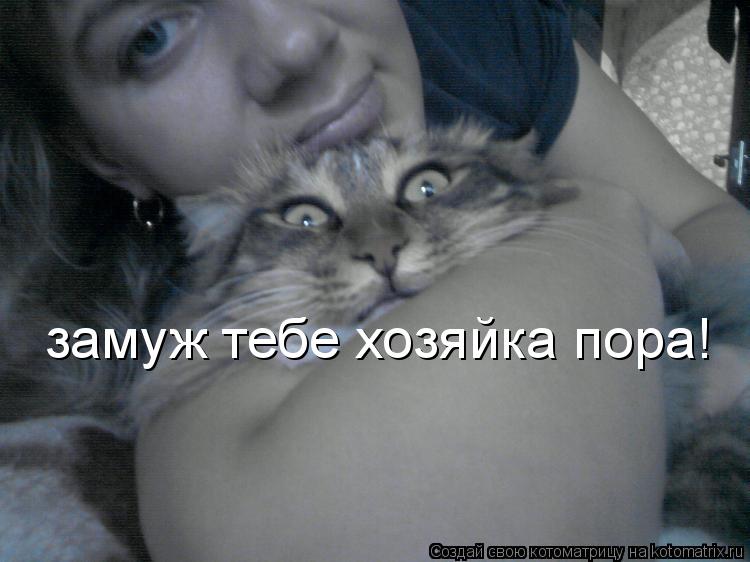 замуж тебе хозяйка пора!... Котоматрица: замуж тебе хозяйка пора!