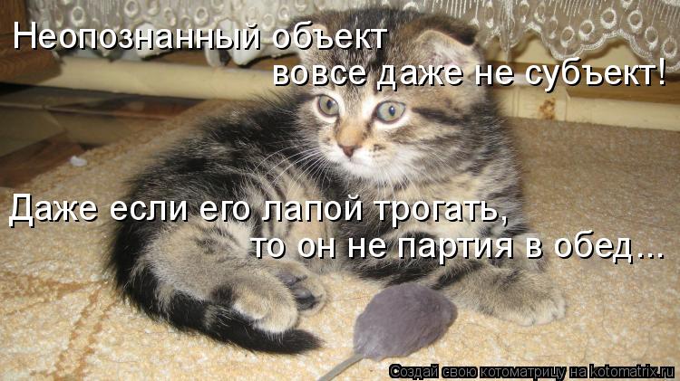 Неопознанный объект вовсе даже не субъект! Даже если его лапой трогать, то он не партия в обед...... Котоматрица: Неопознанный объект вовсе даже не субъект! Даже если его лапой трогать, то он не партия в обед...