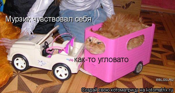 Мурзик чувствовал себя как-то угловато... Котоматрица: Мурзик чувствовал себя как-то угловато