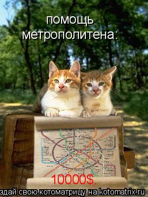 помощь метрополитена 1000$.. помощь метрополитена: 10000$.... Котоматрица: помощь метрополитена 1000$.. помощь метрополитена: 10000$.