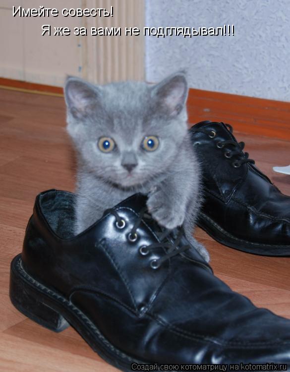 Имейте совесть! Я же за вами не подглядывал!!!... Котоматрица: Имейте совесть! Я же за вами не подглядывал!!!