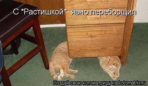 С *Растишкой* явно переборщил... Котоматрица: С *Растишкой* явно переборщил