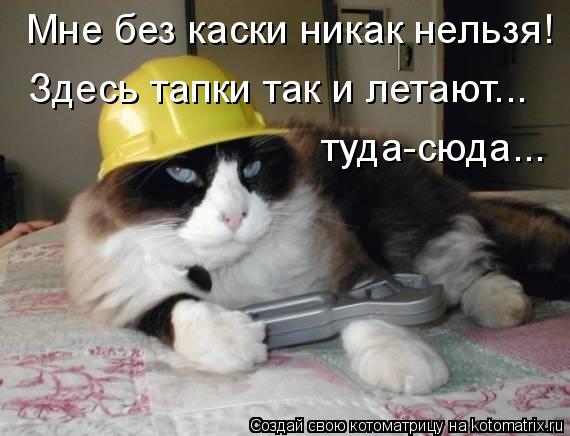 Мне без каски никак нельзя! Здесь тапки так и летают... туда-сюда...... Котоматрица: Мне без каски никак нельзя! Здесь тапки так и летают... туда-сюда...