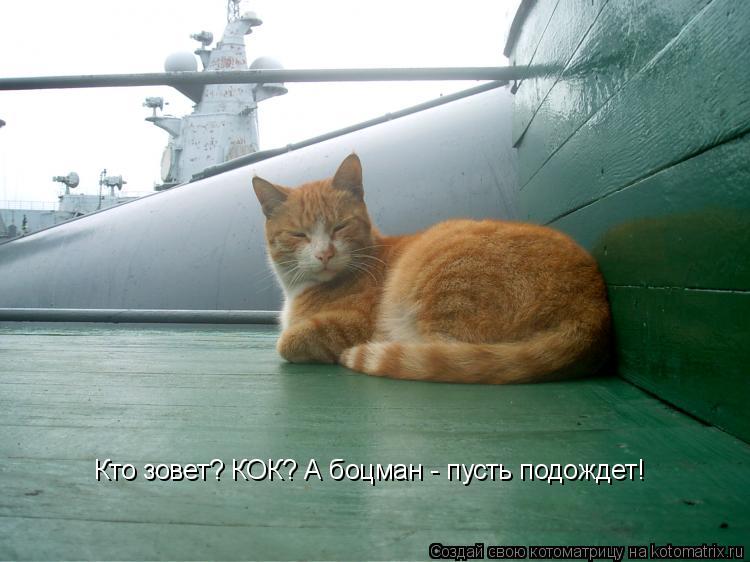 Кто зовет? КОК? А боцман - пусть подождет!... Котоматрица: Кто зовет? КОК? А боцман - пусть подождет!