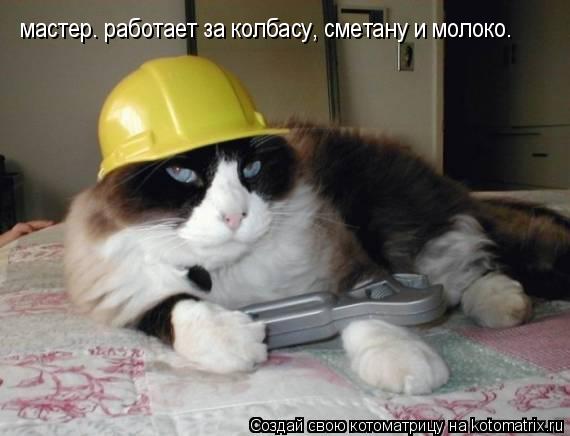 мастер. работает за колбасу, сметану и молоко.... Котоматрица: мастер. работает за колбасу, сметану и молоко.