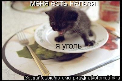 меня есть нельзя я уголь... Котоматрица: меня есть нельзя я уголь