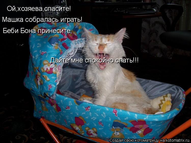 Ой,хозяева,спасите! Машка собралась играть! Беби Бона принесите, Дайте мне спокойно спать!!!... Котоматрица: Ой,хозяева,спасите! Машка собралась играть! Беби Бона принесите, Дайте мне спокойно спать!!!
