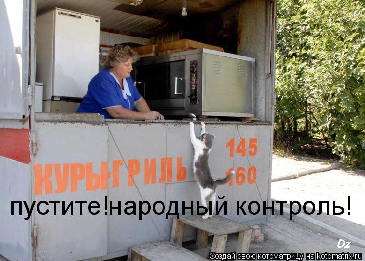 пустите!народный контроль!... Котоматрица: пустите!народный контроль!