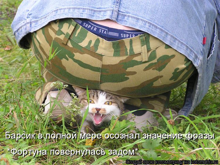Барсик в полной мере осознал значение фразы *Фортуна повернулась задом*... Котоматрица: Барсик в полной мере осознал значение фразы *Фортуна повернулась задом*