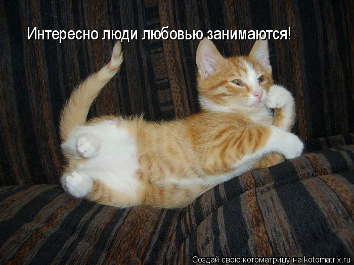 Интересно люди любовью занимаются!... Котоматрица: Интересно люди любовью занимаются!