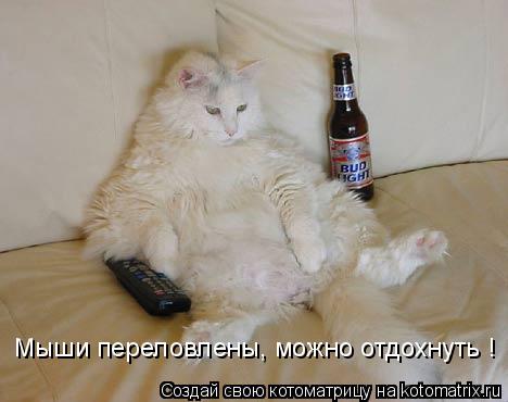 Мыши переловлены, можно отдохнуть !... Котоматрица: Мыши переловлены, можно отдохнуть !