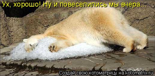 Ух, хорошо! Ну и повеселились мы вчера...... Котоматрица: Ух, хорошо! Ну и повеселились мы вчера...