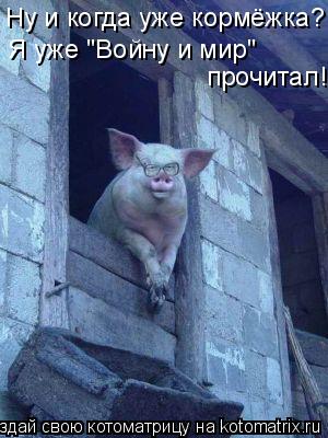 Ну и когда уже кормёжка? Я уже "Войну и мир" прочитал!... Котоматрица: Ну и когда уже кормёжка? Я уже "Войну и мир" прочитал!