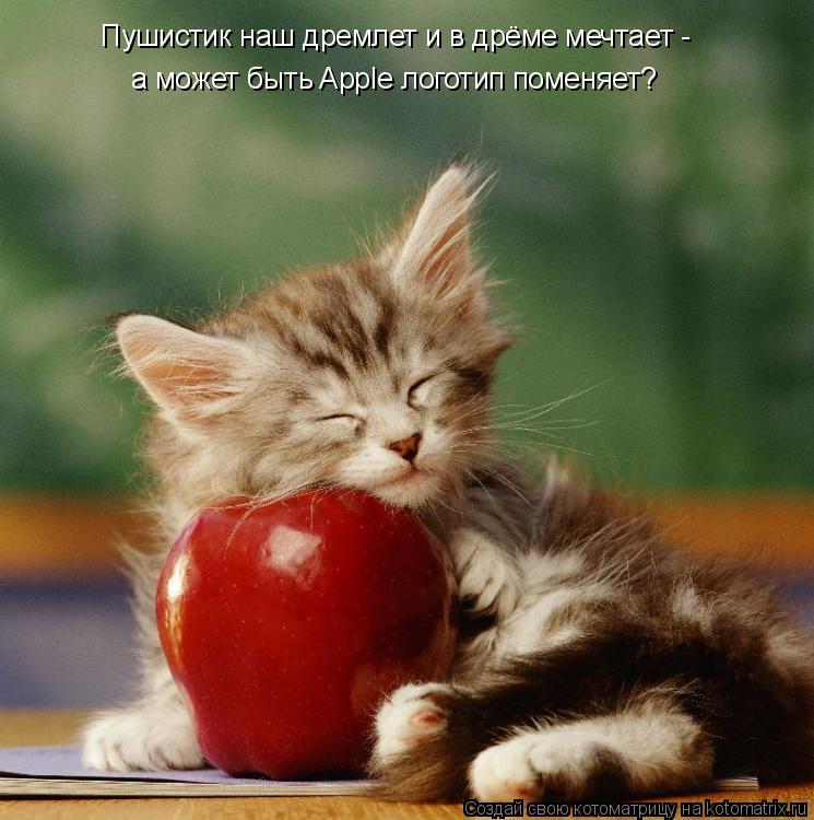 Пушистик наш дремлет и в дрёме мечтает - а может быть Apple логотип поменяет?... Котоматрица: Пушистик наш дремлет и в дрёме мечтает - а может быть Apple логотип поменяет?