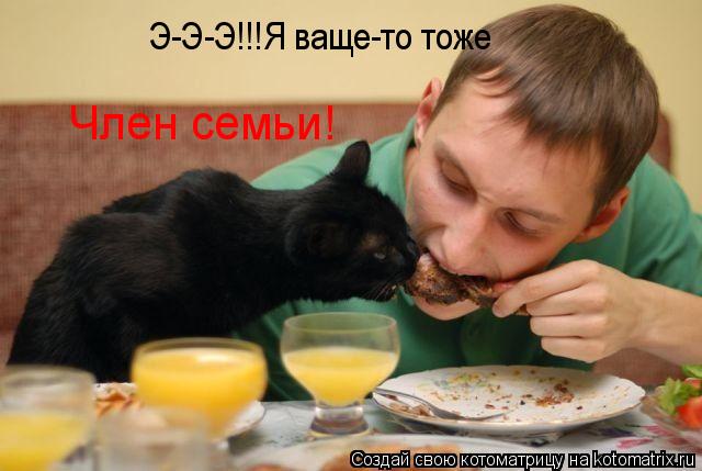 Э-Э-Э!!!Я ваще-то тоже Член семьи!... Котоматрица: Э-Э-Э!!!Я ваще-то тоже Член семьи!