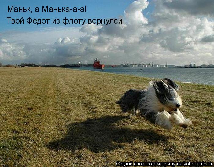 Маньк, а Манька-а-а! Твой Федот из флоту вернулси... Котоматрица: Маньк, а Манька-а-а! Твой Федот из флоту вернулси