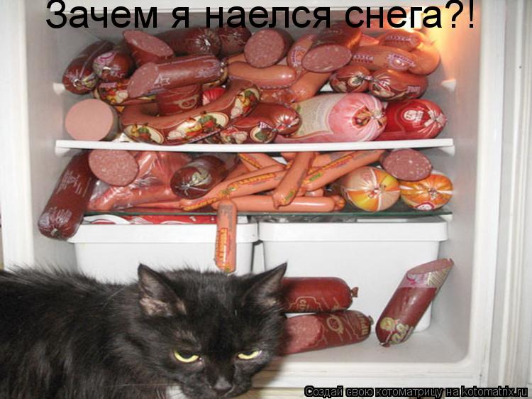 Зачем я наелся снега?!... Котоматрица: Зачем я наелся снега?!